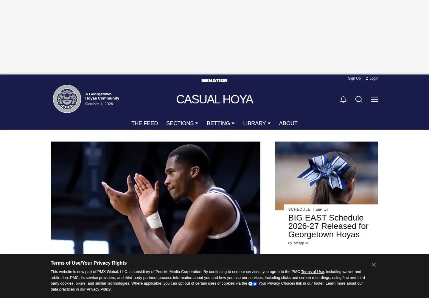 Screenshot of casualhoya.com