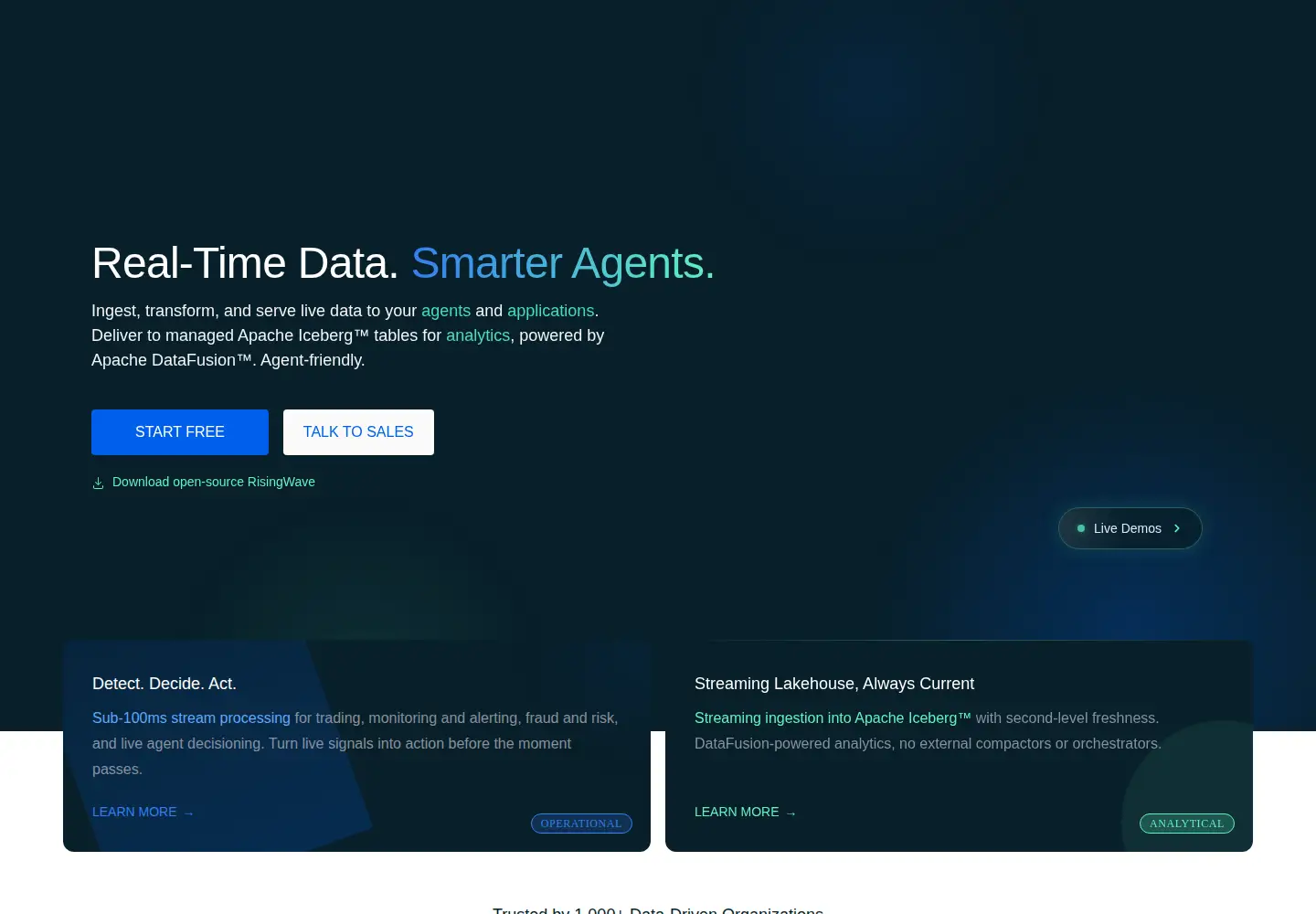 Screenshot of risingwave.com
