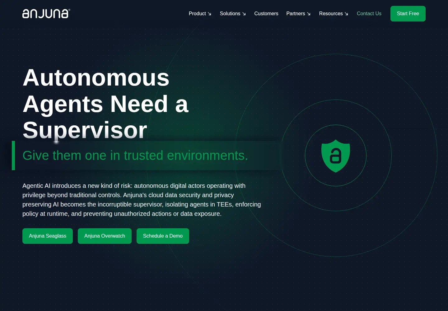 Screenshot of anjuna.io