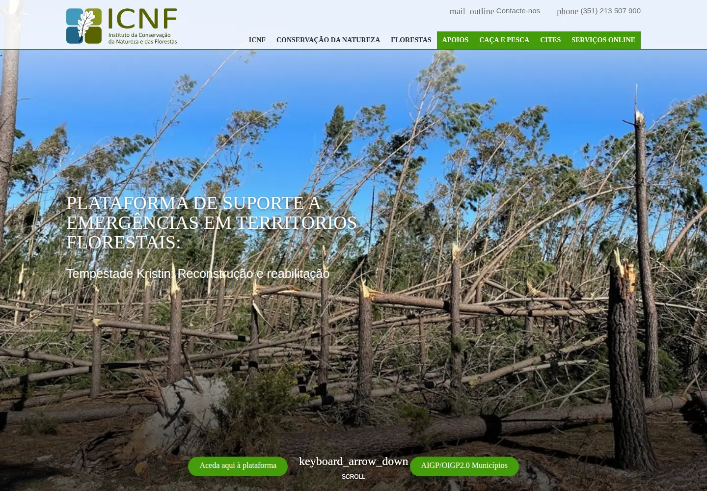 Screenshot of icnf.pt