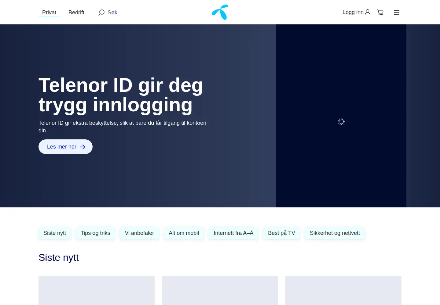 Screenshot of online.no