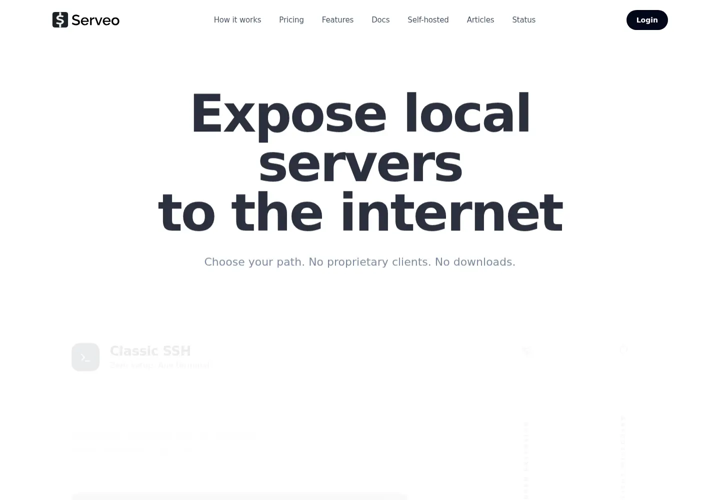 Screenshot of serveo.net