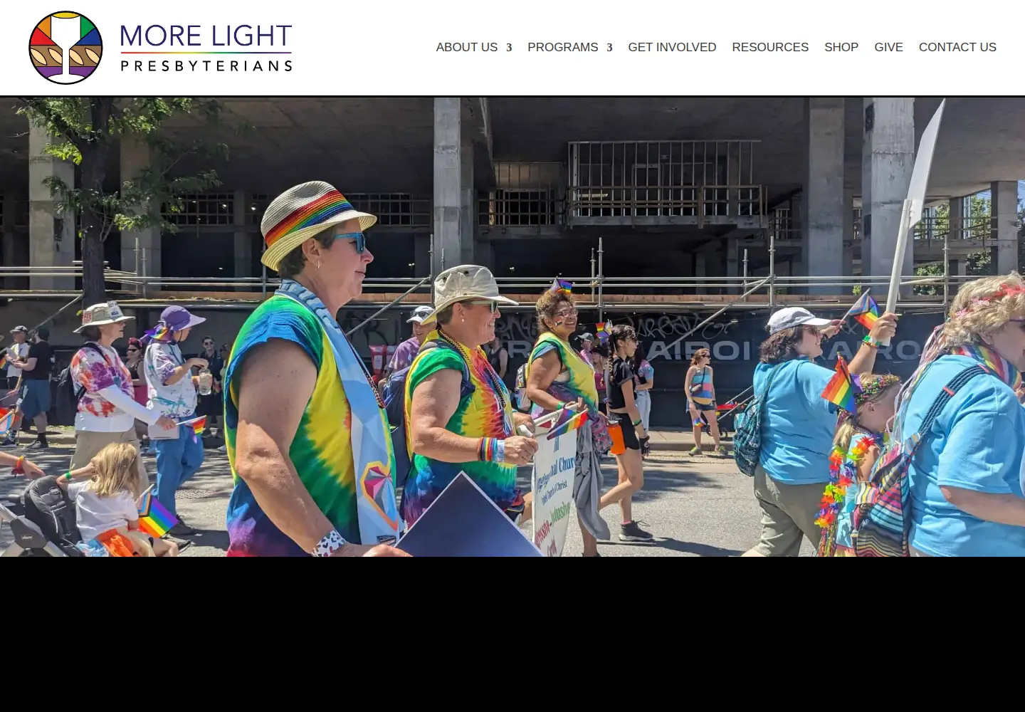 Screenshot of mlp.org