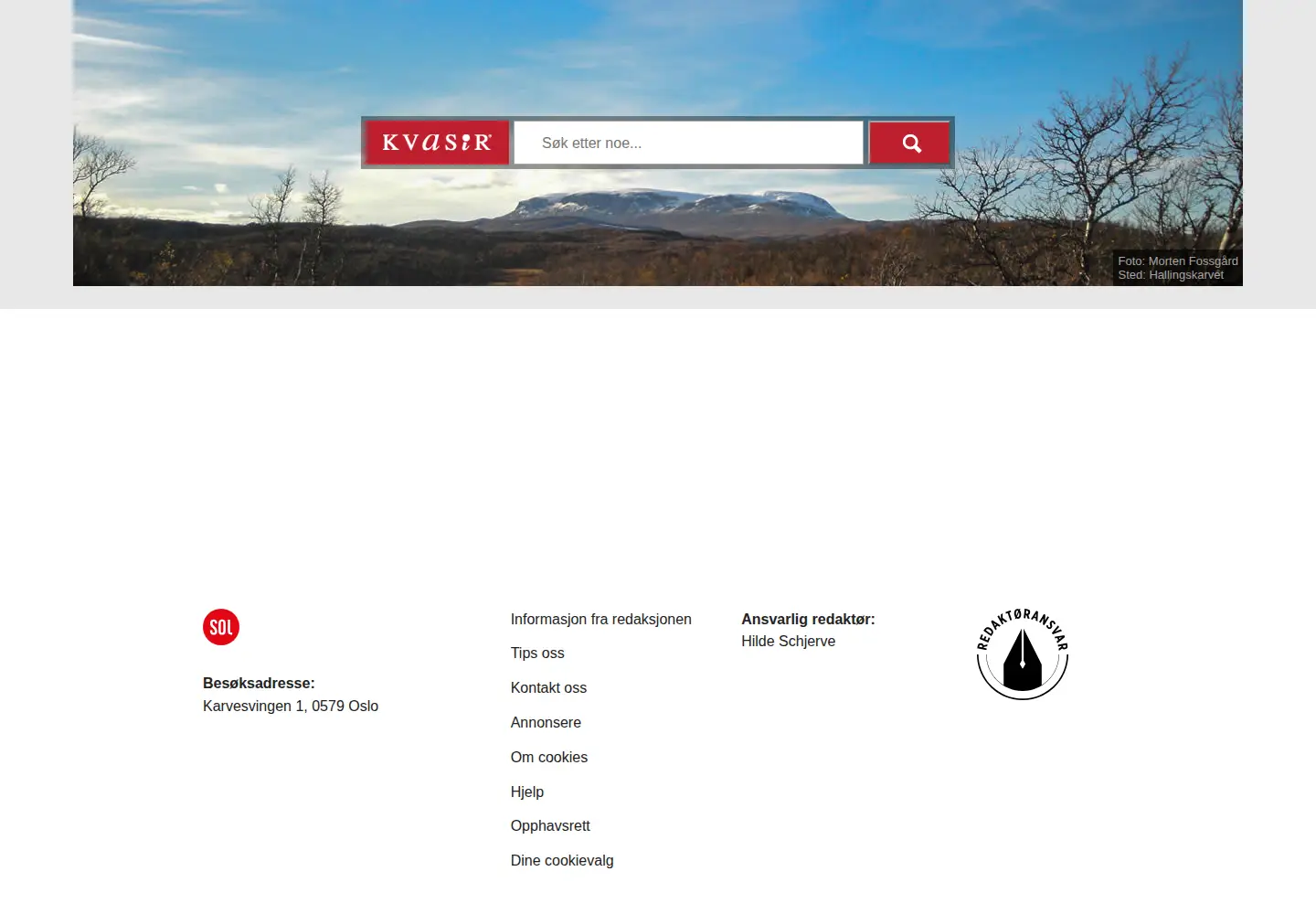 Screenshot of kvasir.no