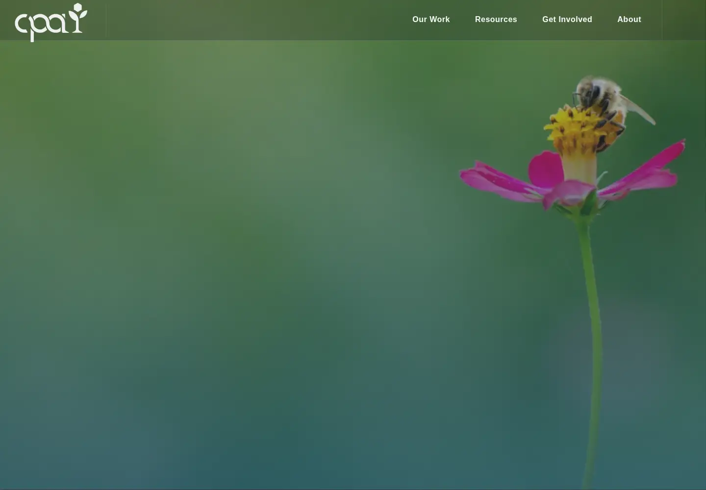 Screenshot of cleanproduction.org