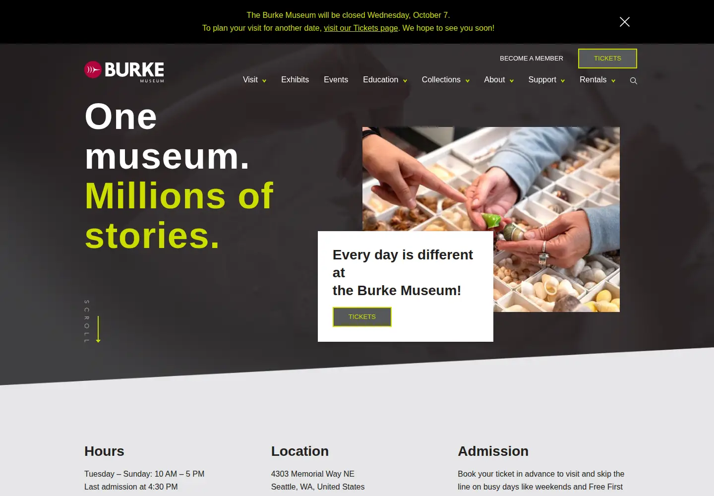 Screenshot of burkemuseum.org