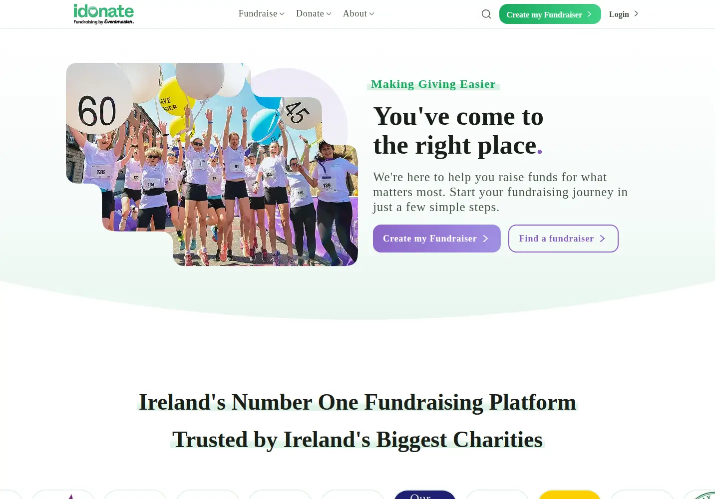 Screenshot of idonate.ie