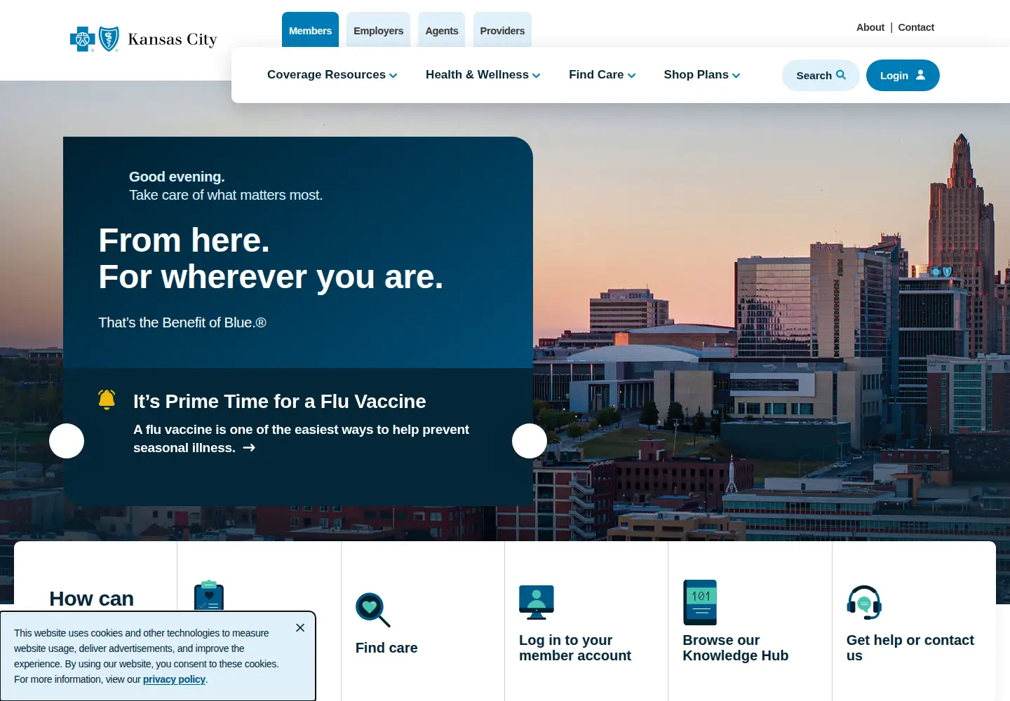 Screenshot of bluekc.com