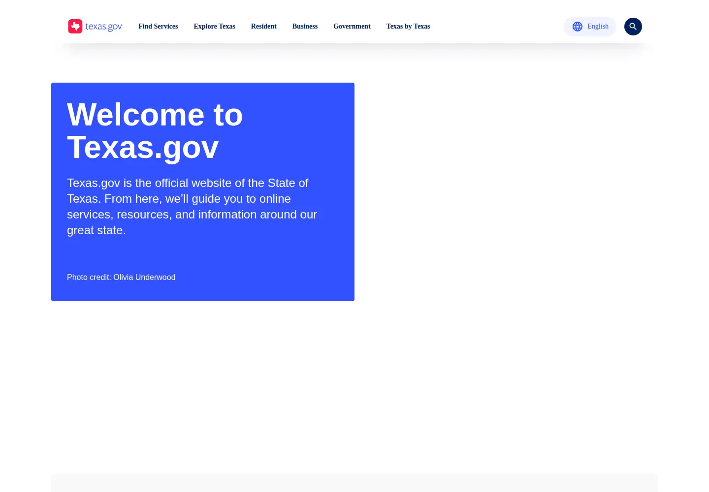 Screenshot of texas.gov