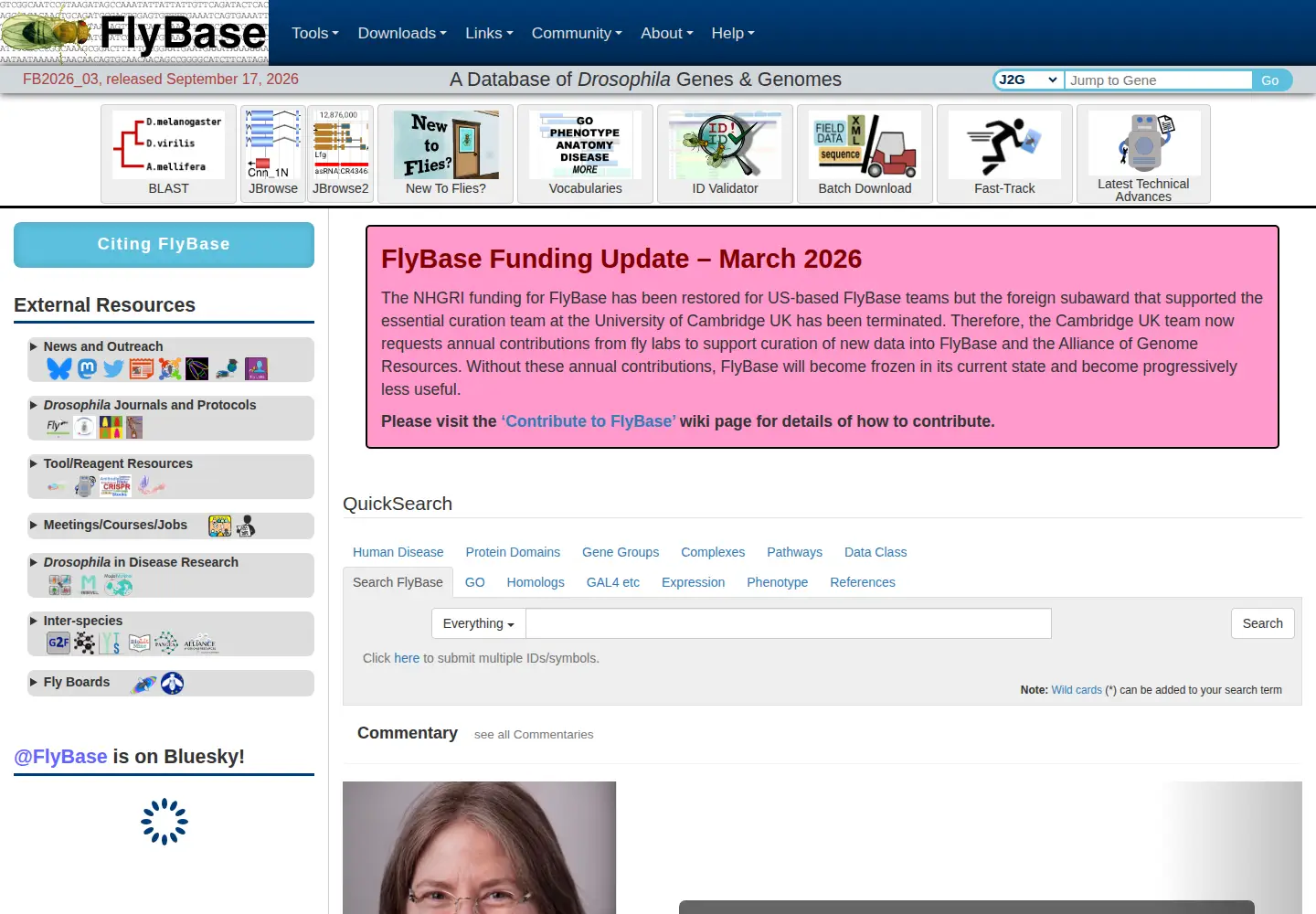 Screenshot of flybase.org