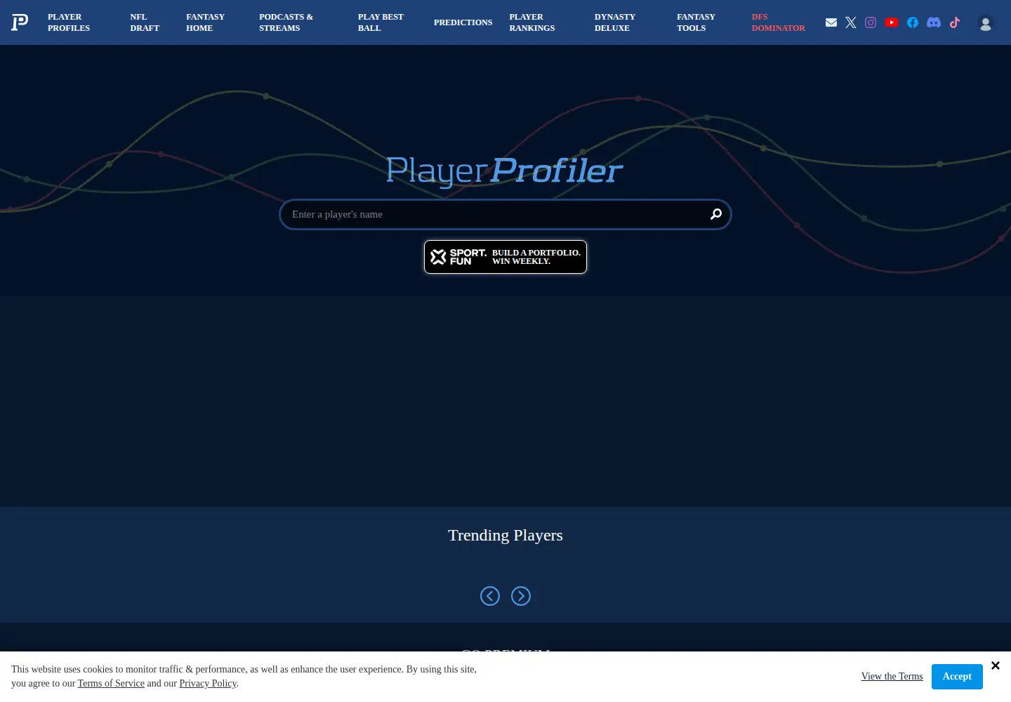 Captured homepage of playerprofiler.com in the current scan
