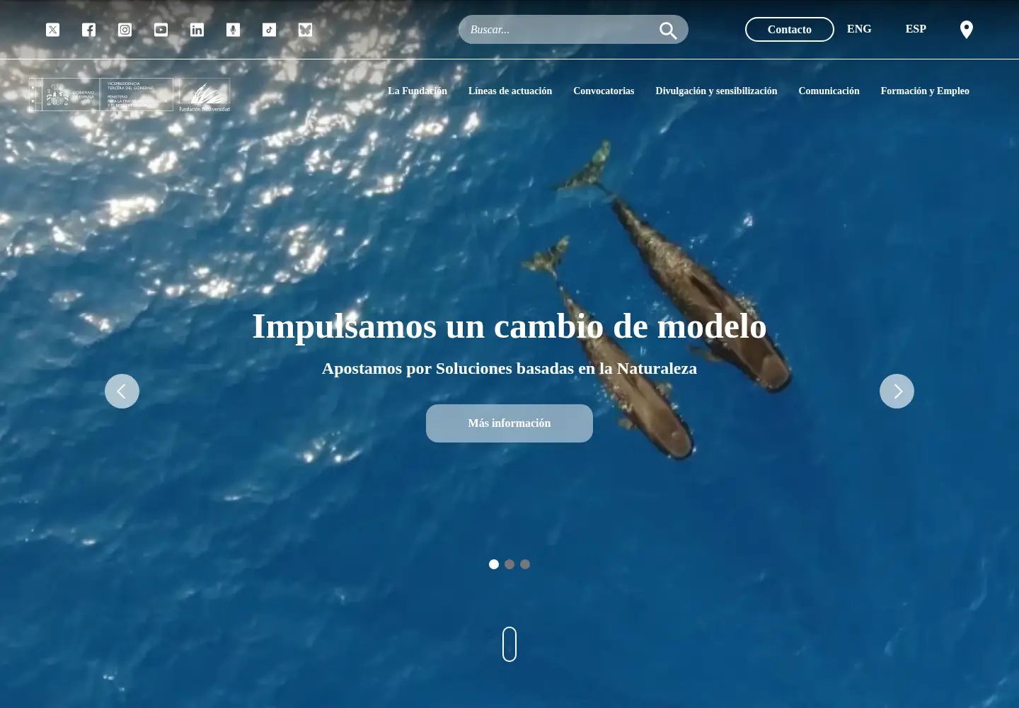 Screenshot of fundacion-biodiversidad.es