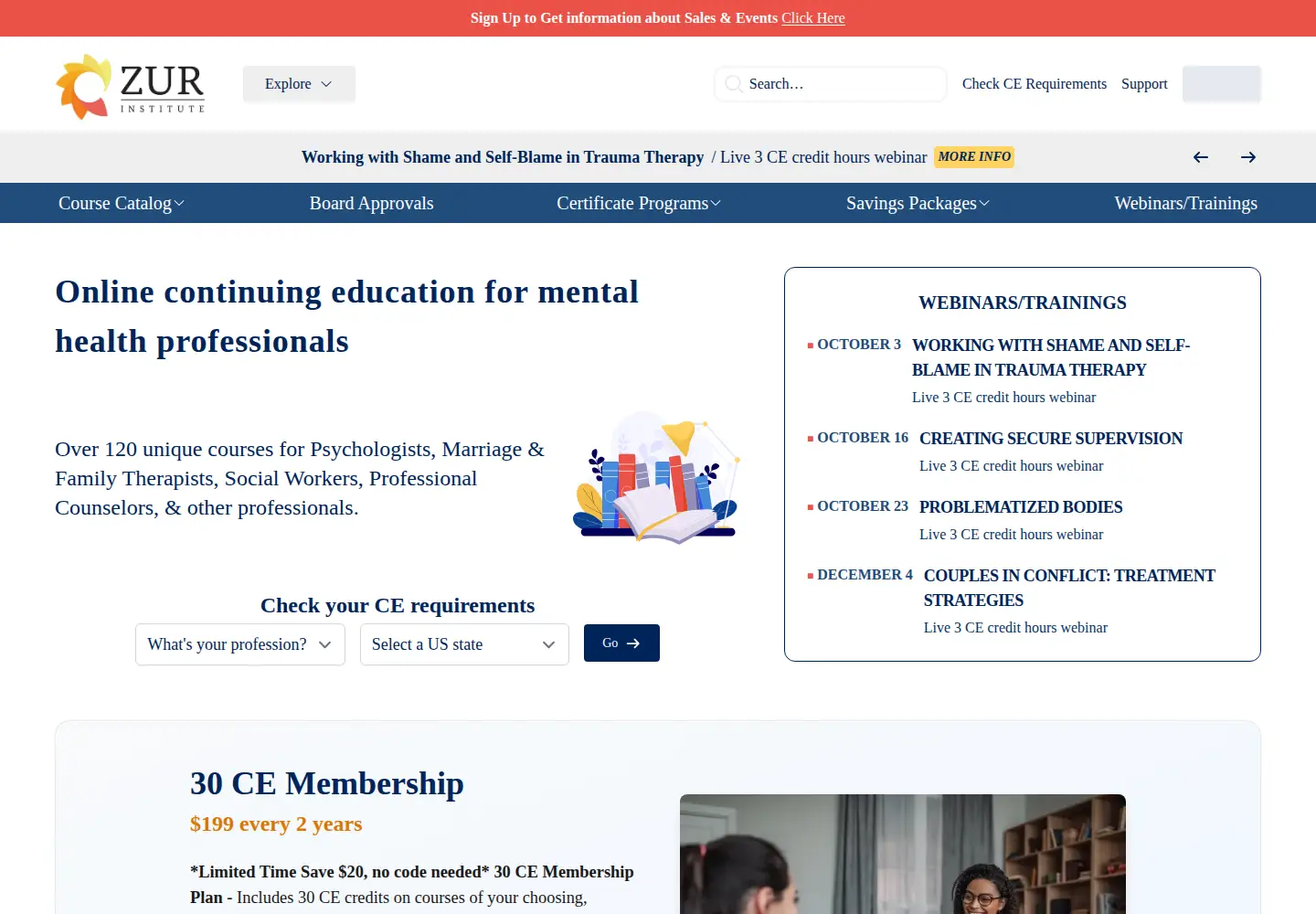 Captured homepage of zurinstitute.com in the current scan