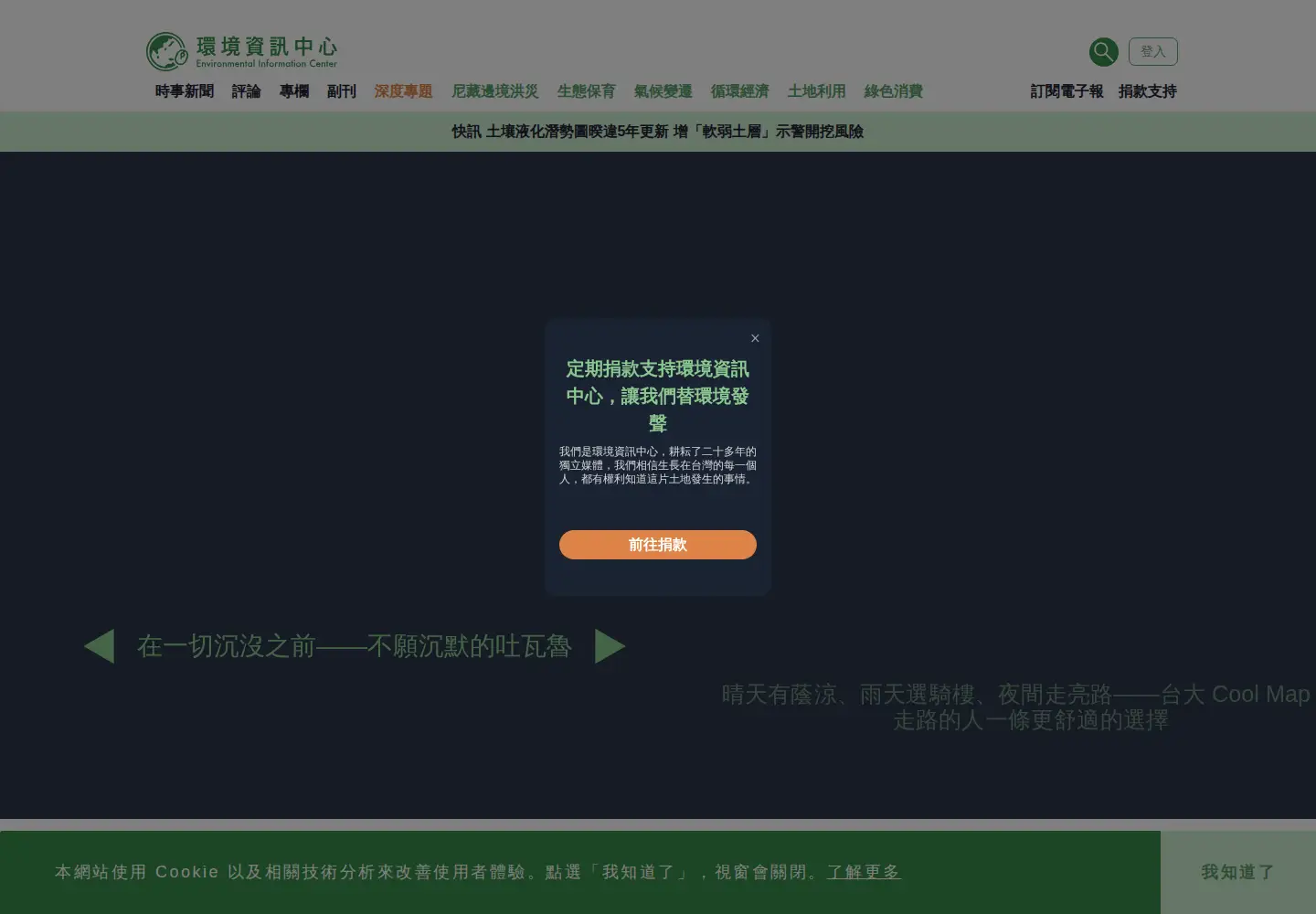 Screenshot of e-info.org.tw