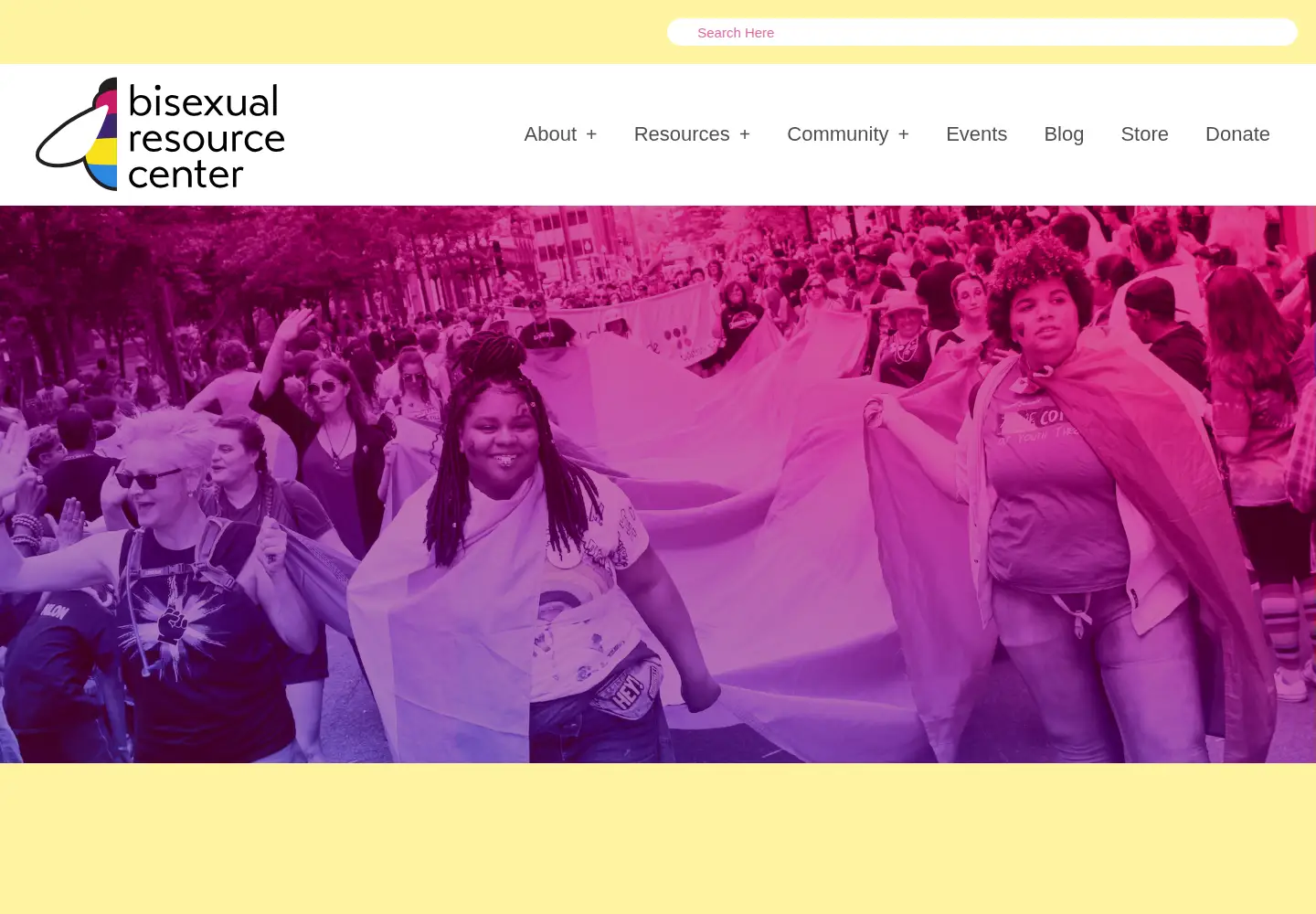 Screenshot of biresource.org