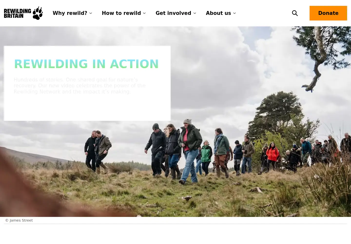Screenshot of rewildingbritain.org.uk