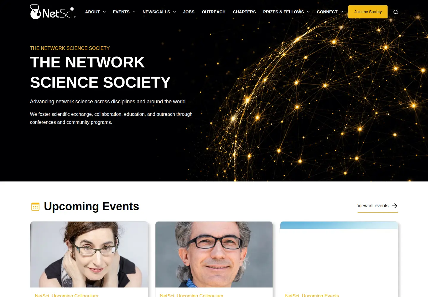 Screenshot of netscisociety.net