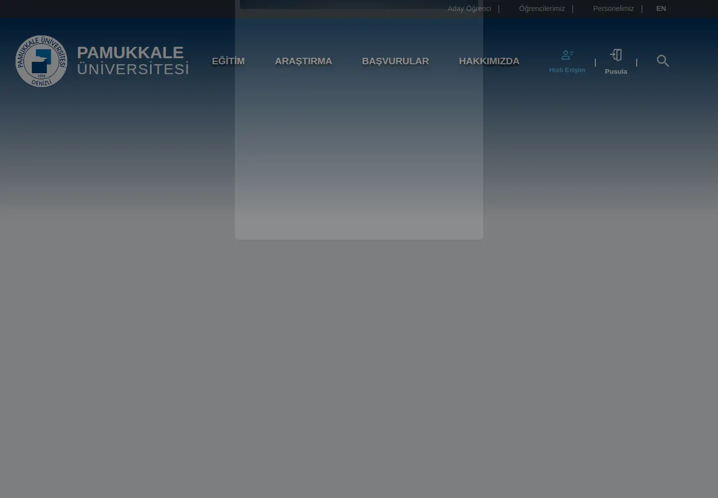 Screenshot of pau.edu.tr