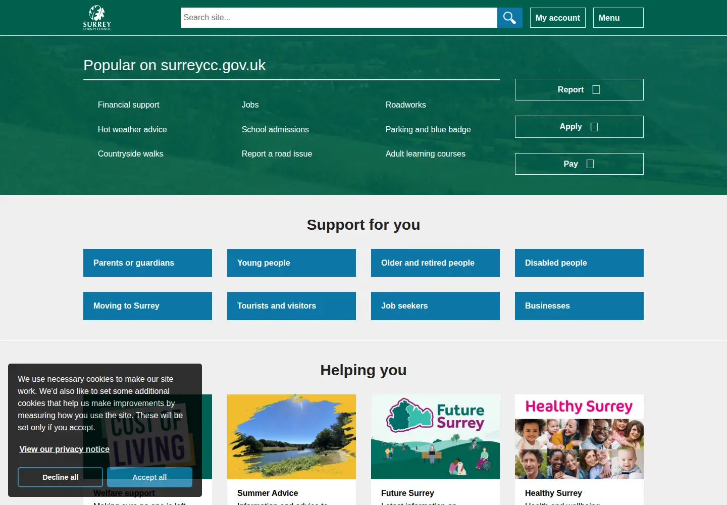 Screenshot of surreycc.gov.uk