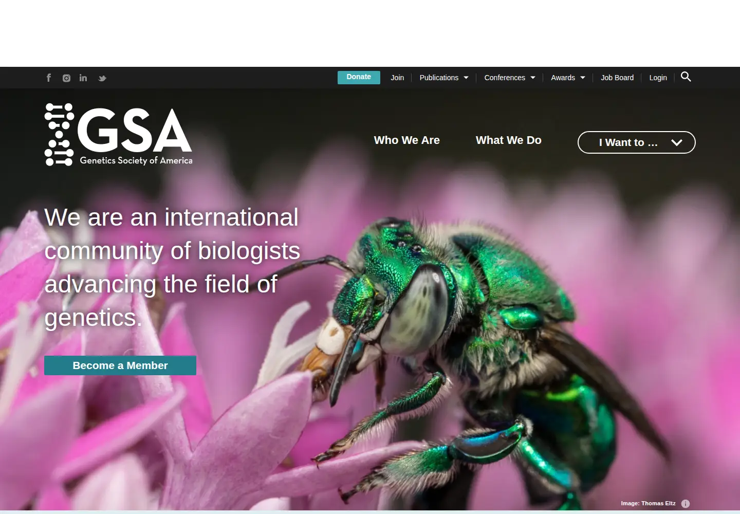 Screenshot of genetics-gsa.org