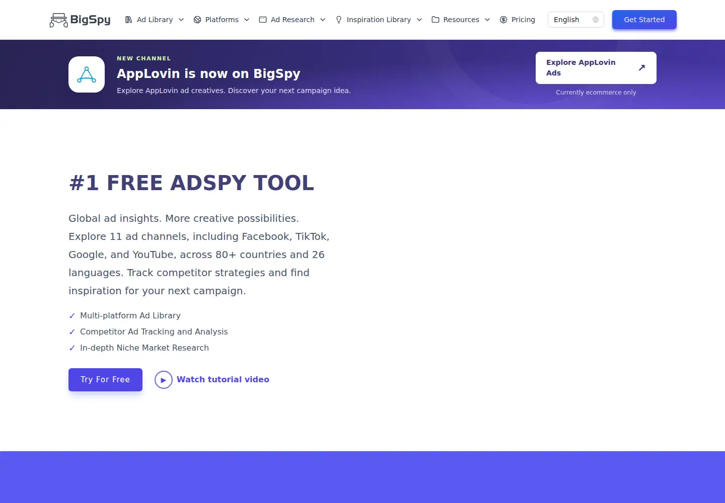 Screenshot of bigspy.com