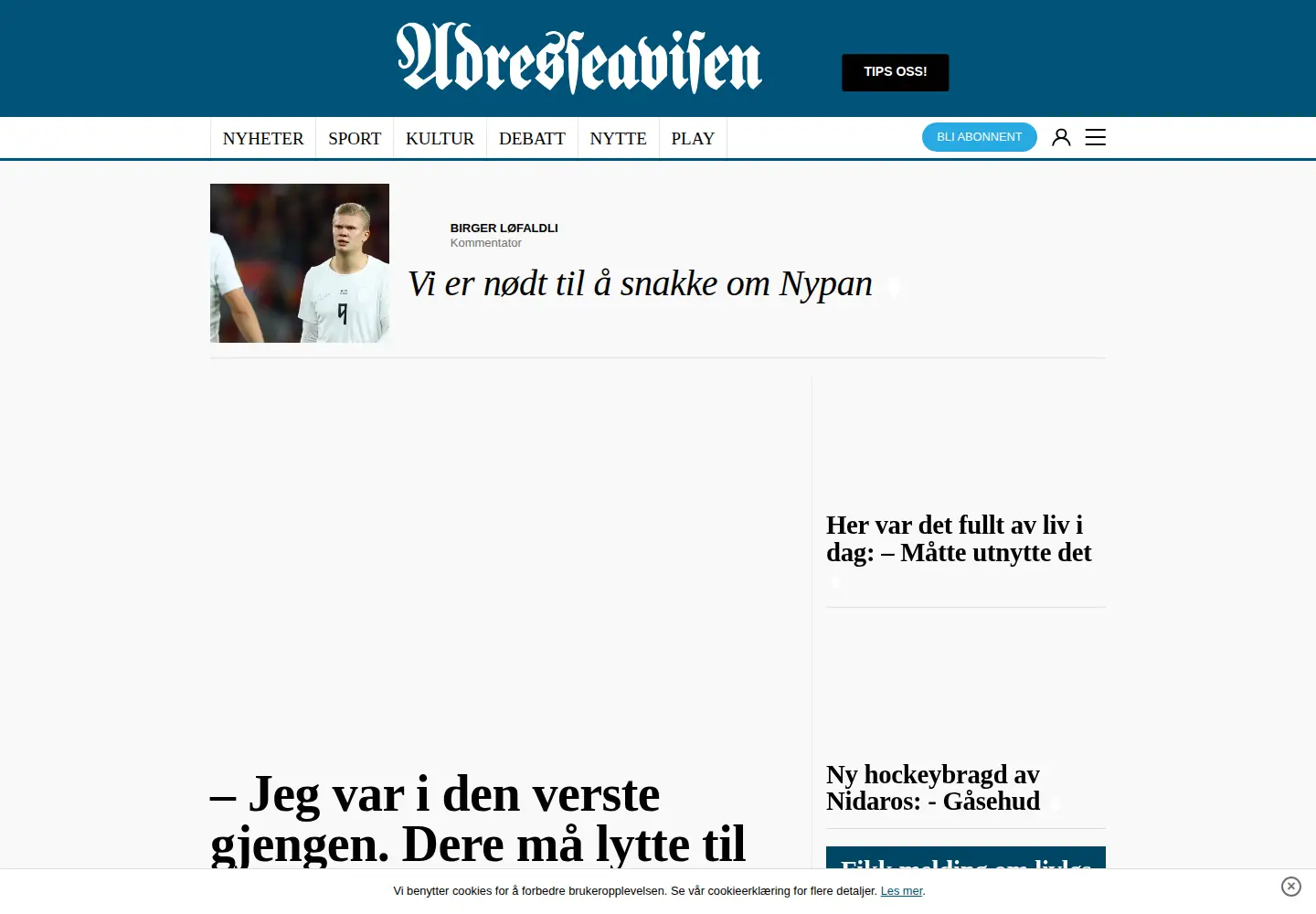 Screenshot of adressa.no