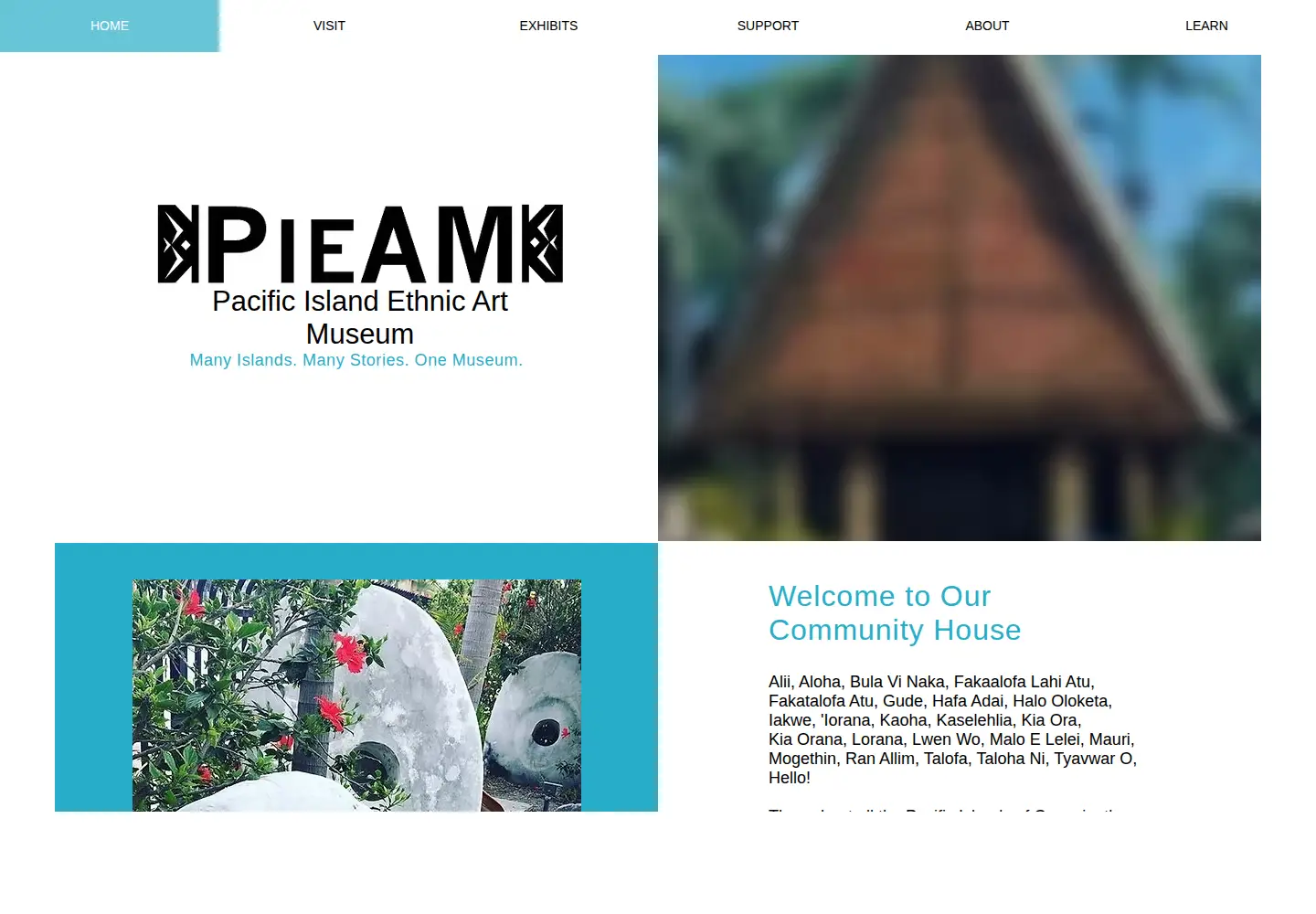 Screenshot of pieam.org