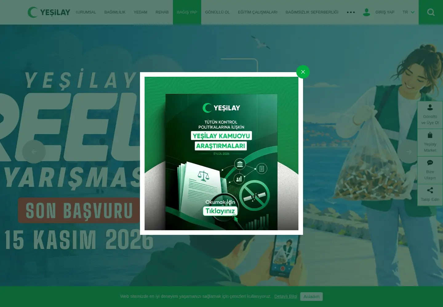 Screenshot of yesilay.org.tr