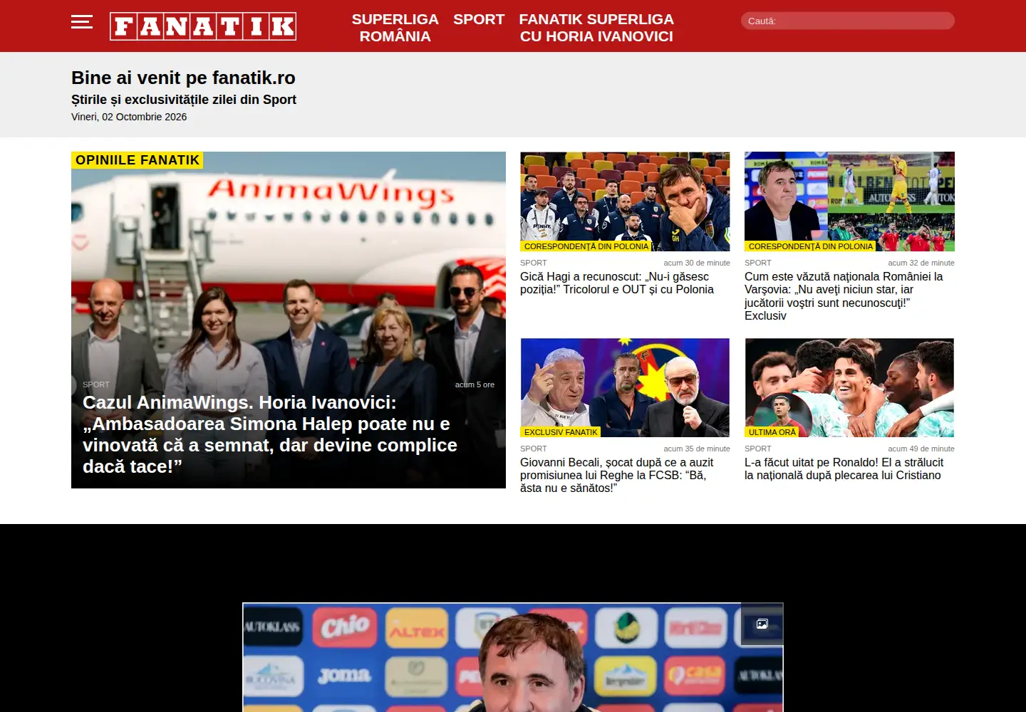 Screenshot of fanatik.ro