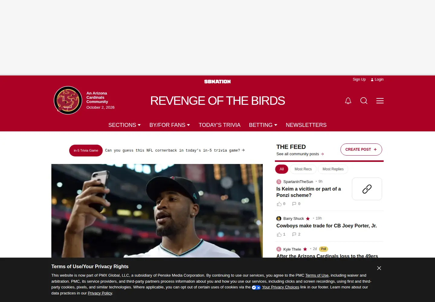 Screenshot of revengeofthebirds.com