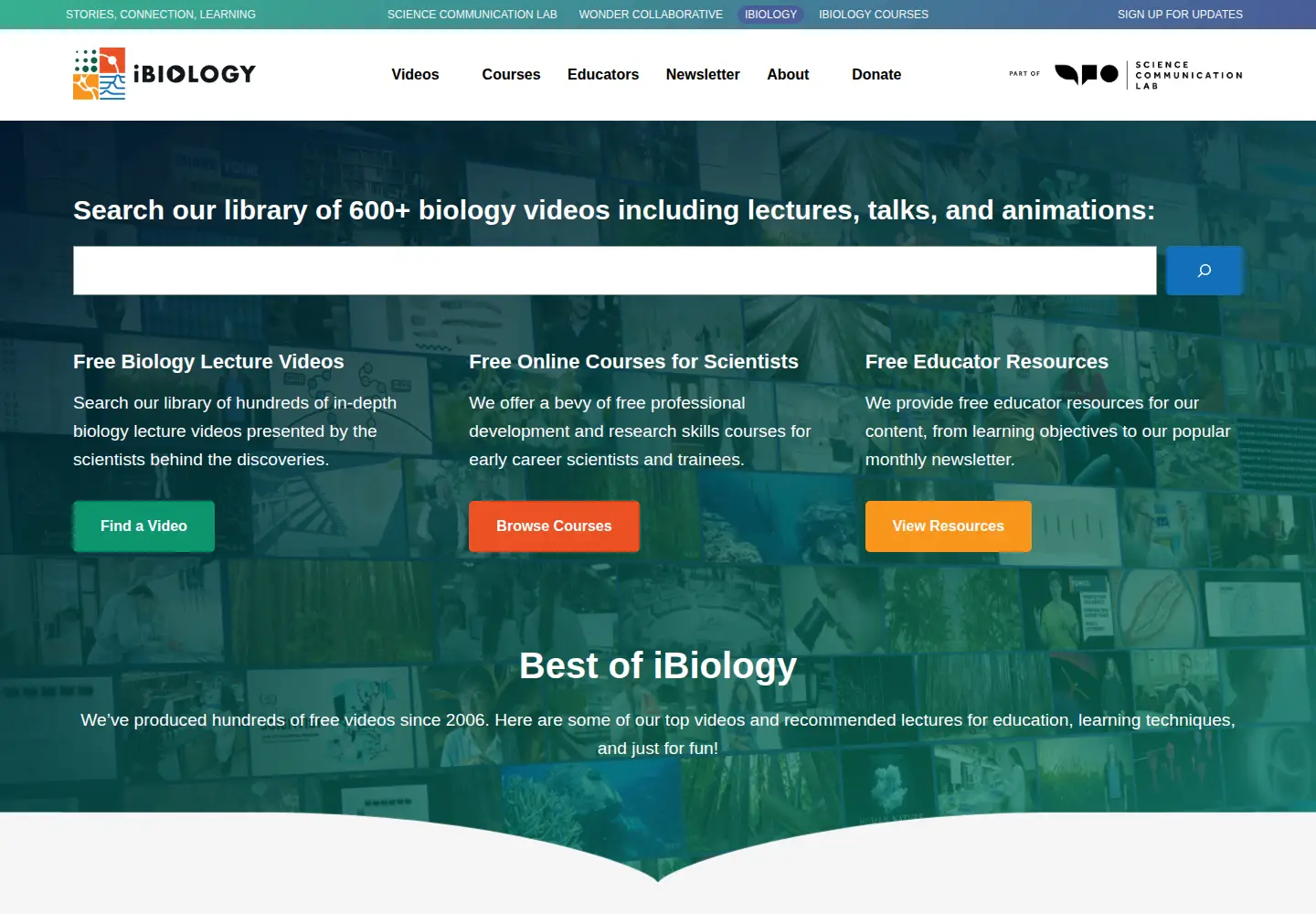 Screenshot of ibiology.org