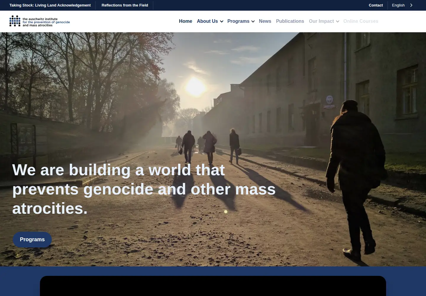 Screenshot of auschwitzinstitute.org
