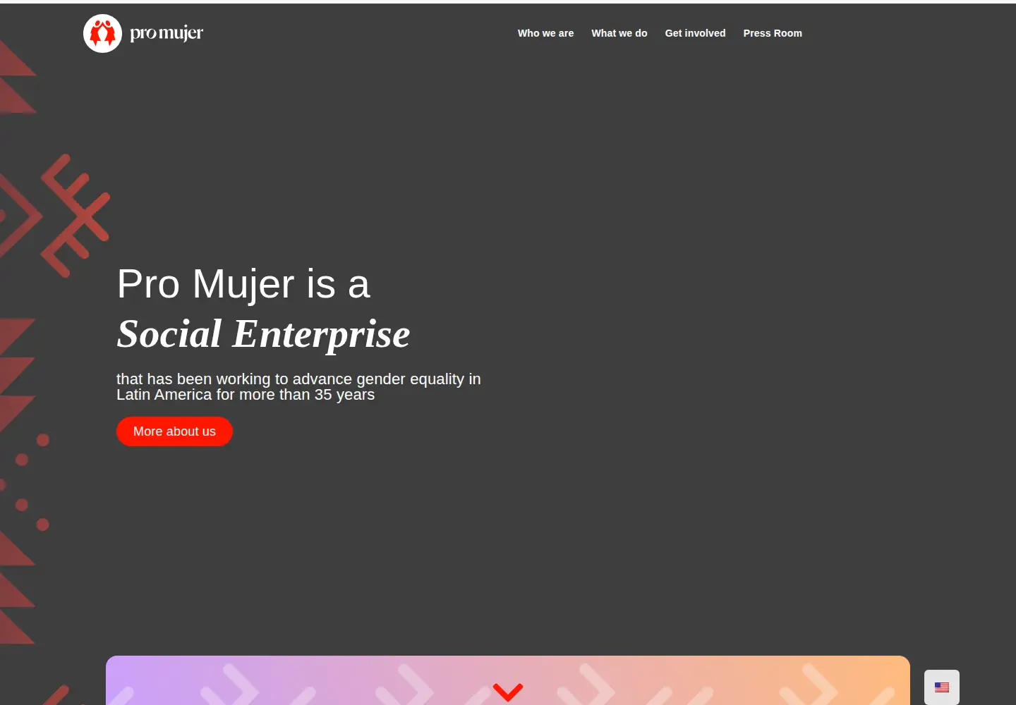 Captured homepage of promujer.org in the current scan