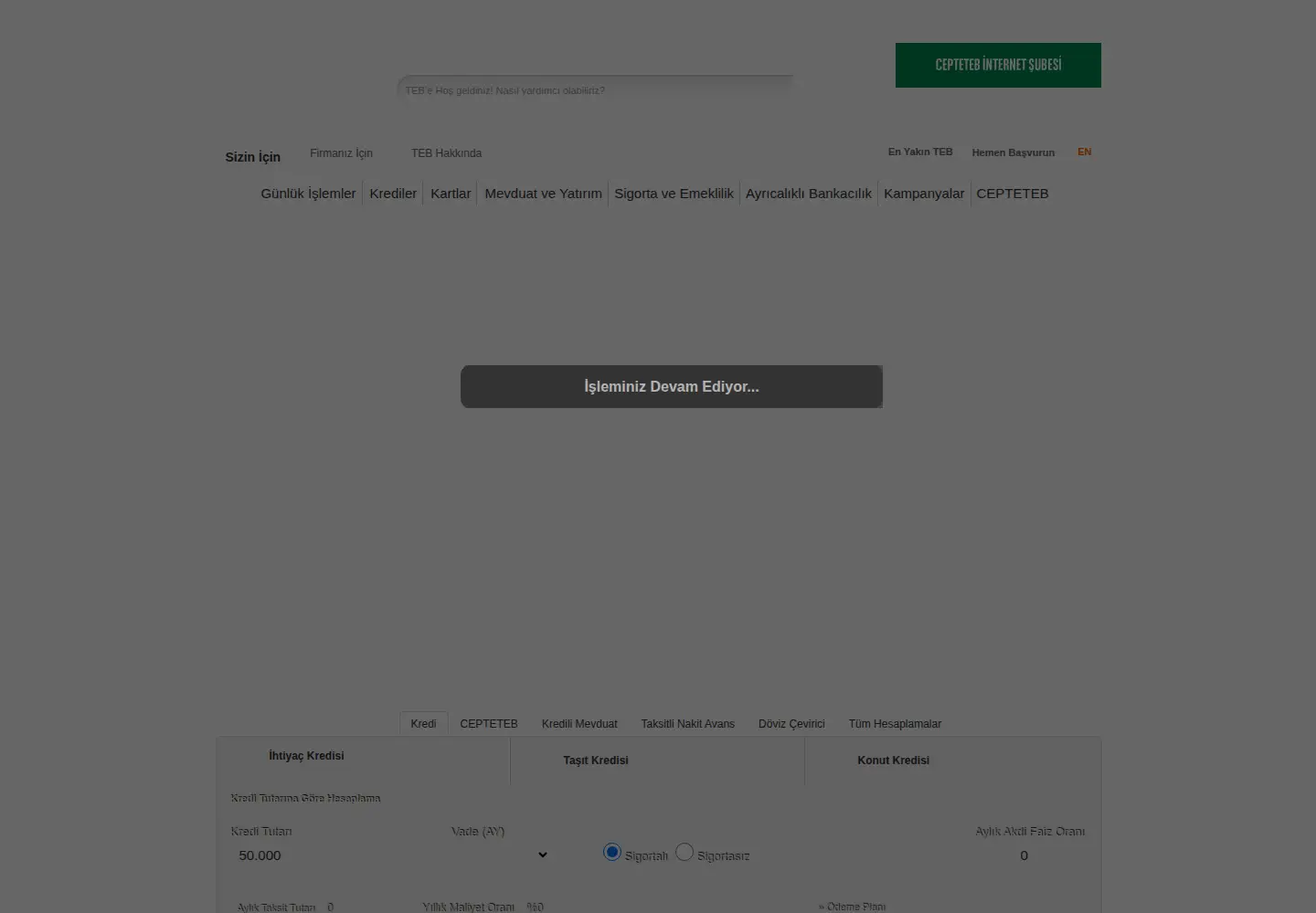 Screenshot of teb.com.tr