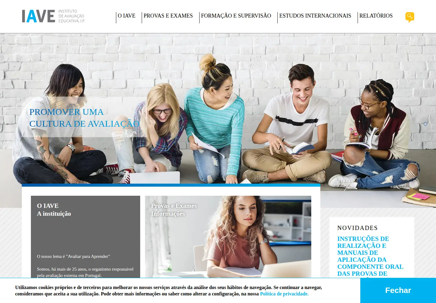 Screenshot of iave.pt