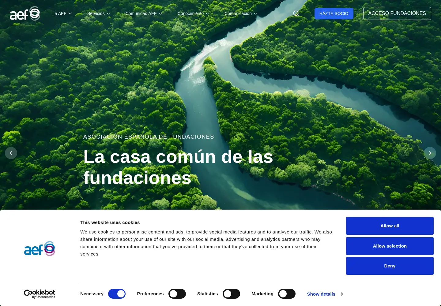Screenshot of fundaciones.org