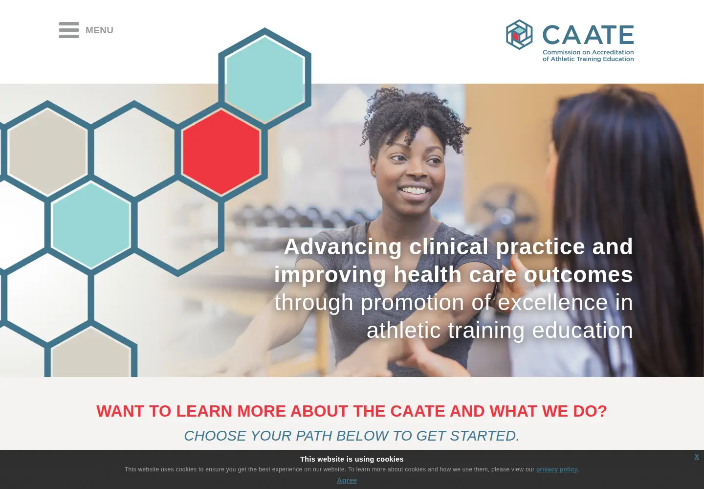 Screenshot of caate.net