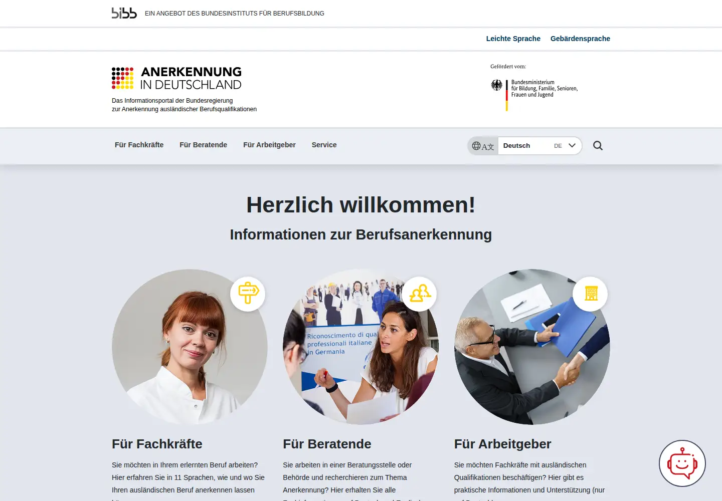 Screenshot of anerkennung-in-deutschland.de