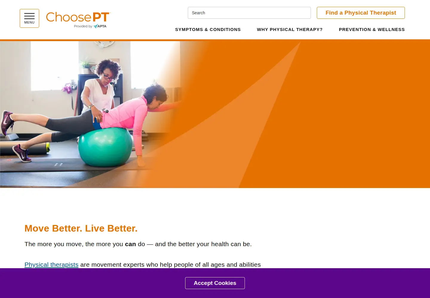 Screenshot of choosept.com