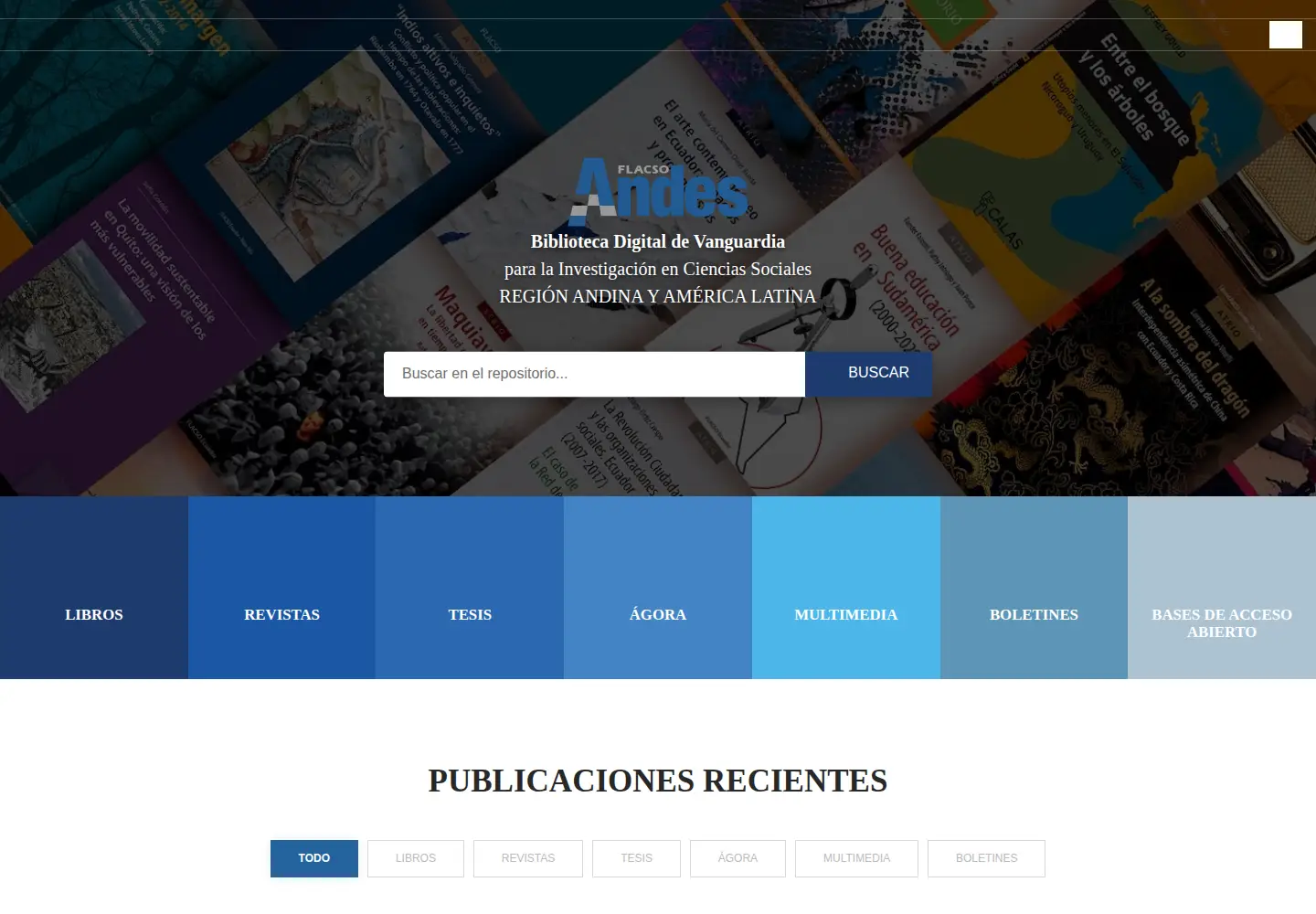 Screenshot of flacsoandes.edu.ec