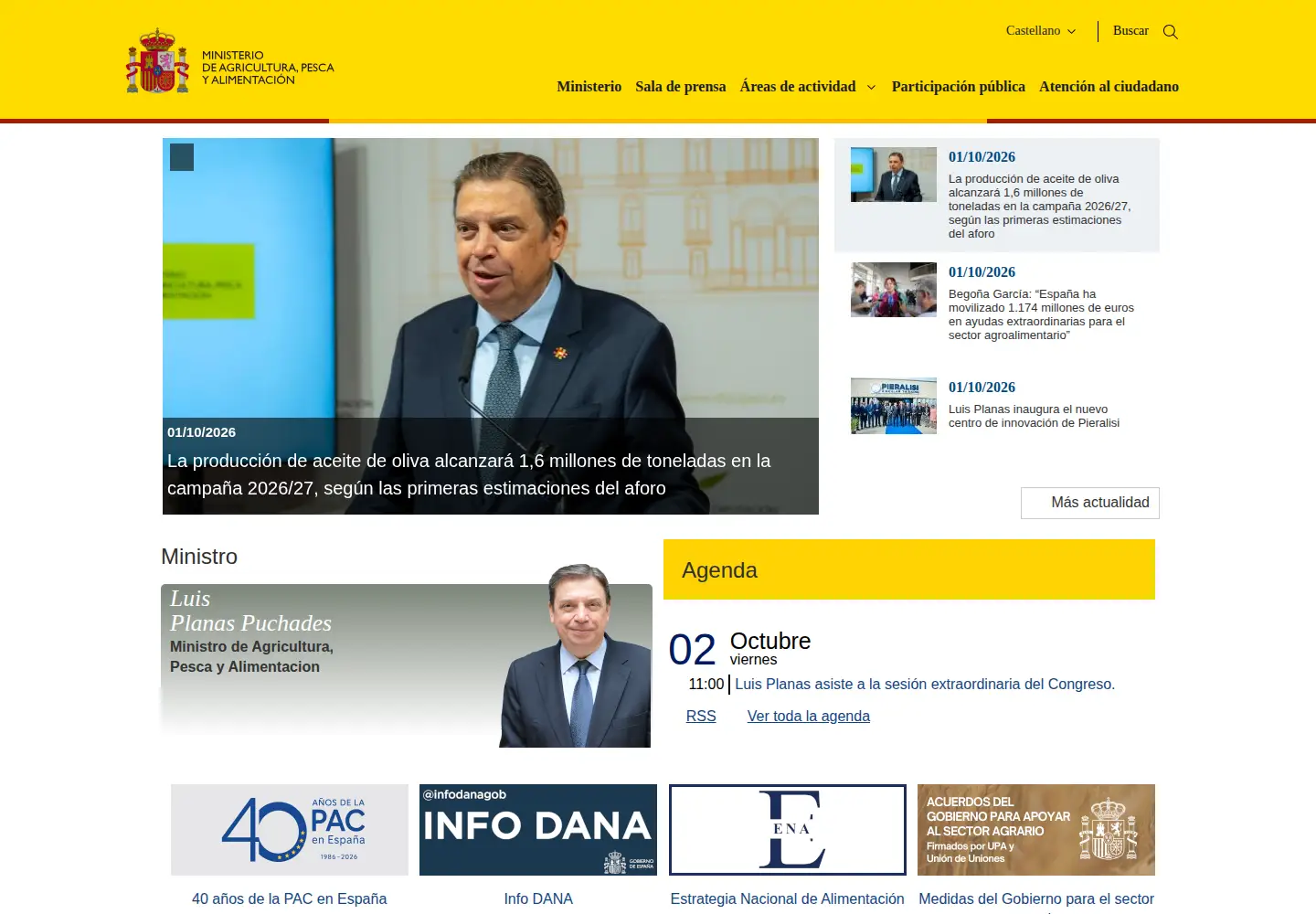 Screenshot of mapa.es