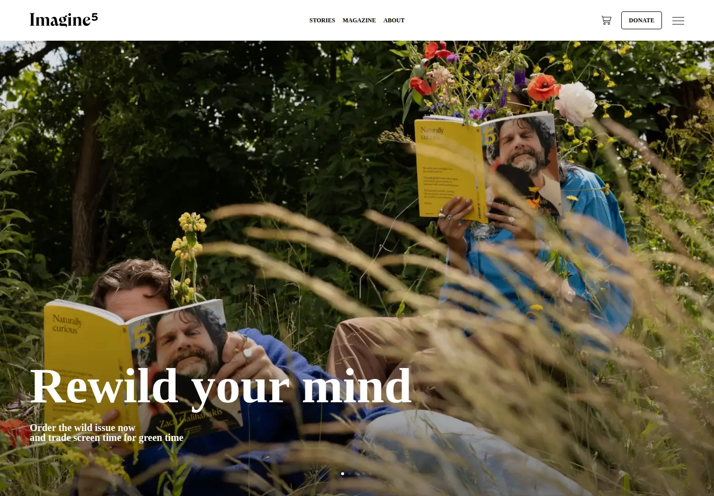 Screenshot of imagine5.com