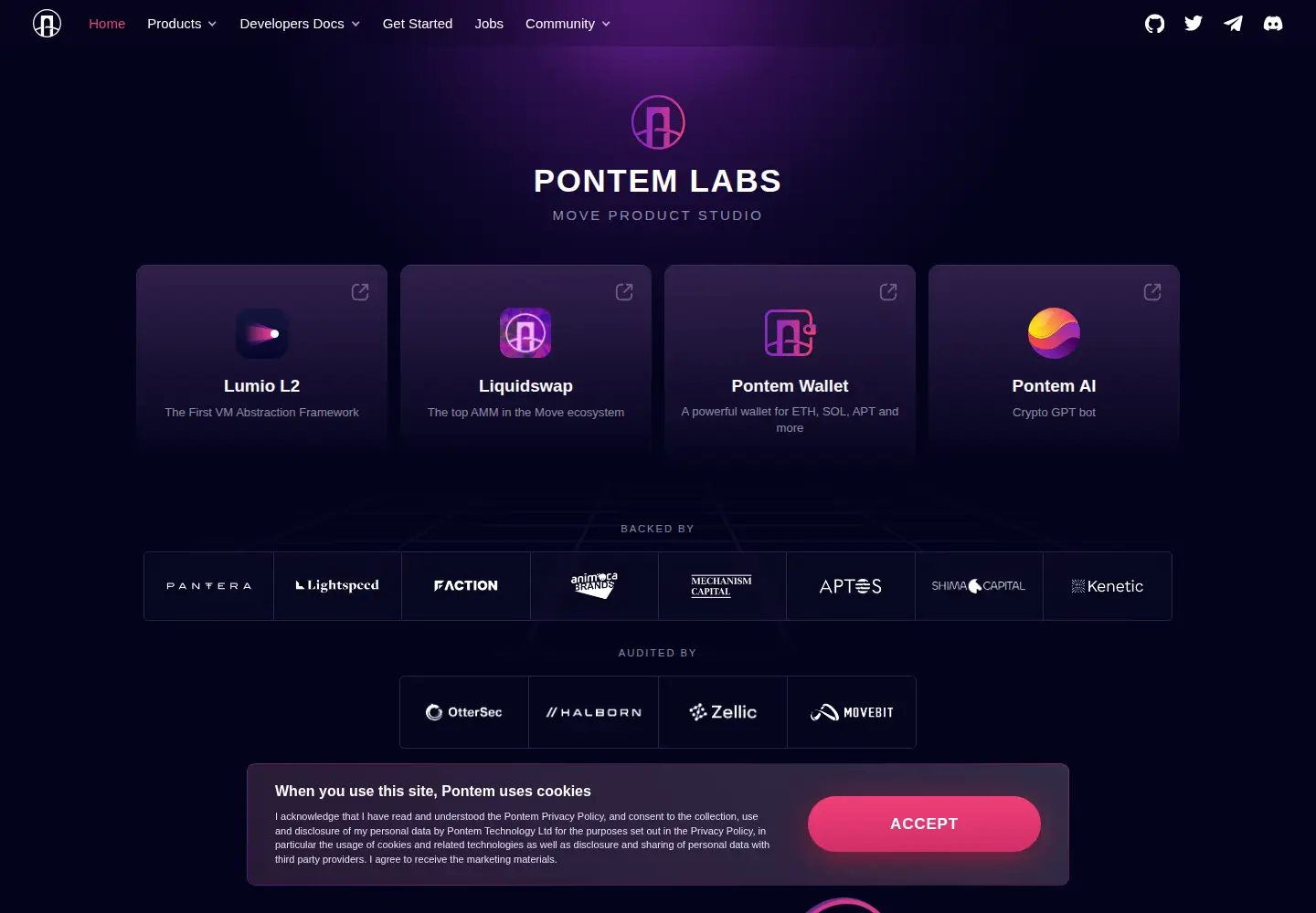 Captured homepage of pontem.network in the current scan