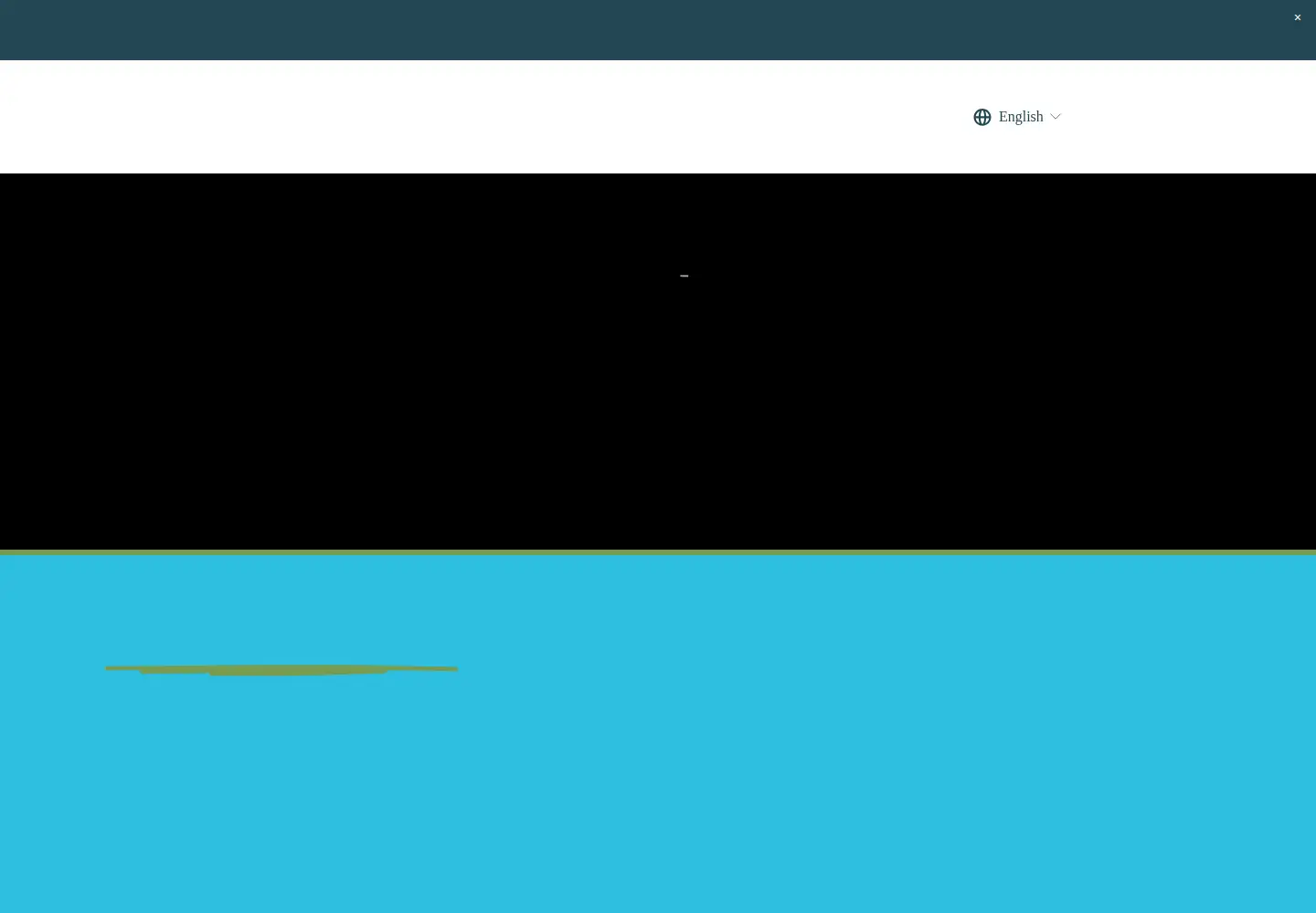Screenshot of basicrights.org