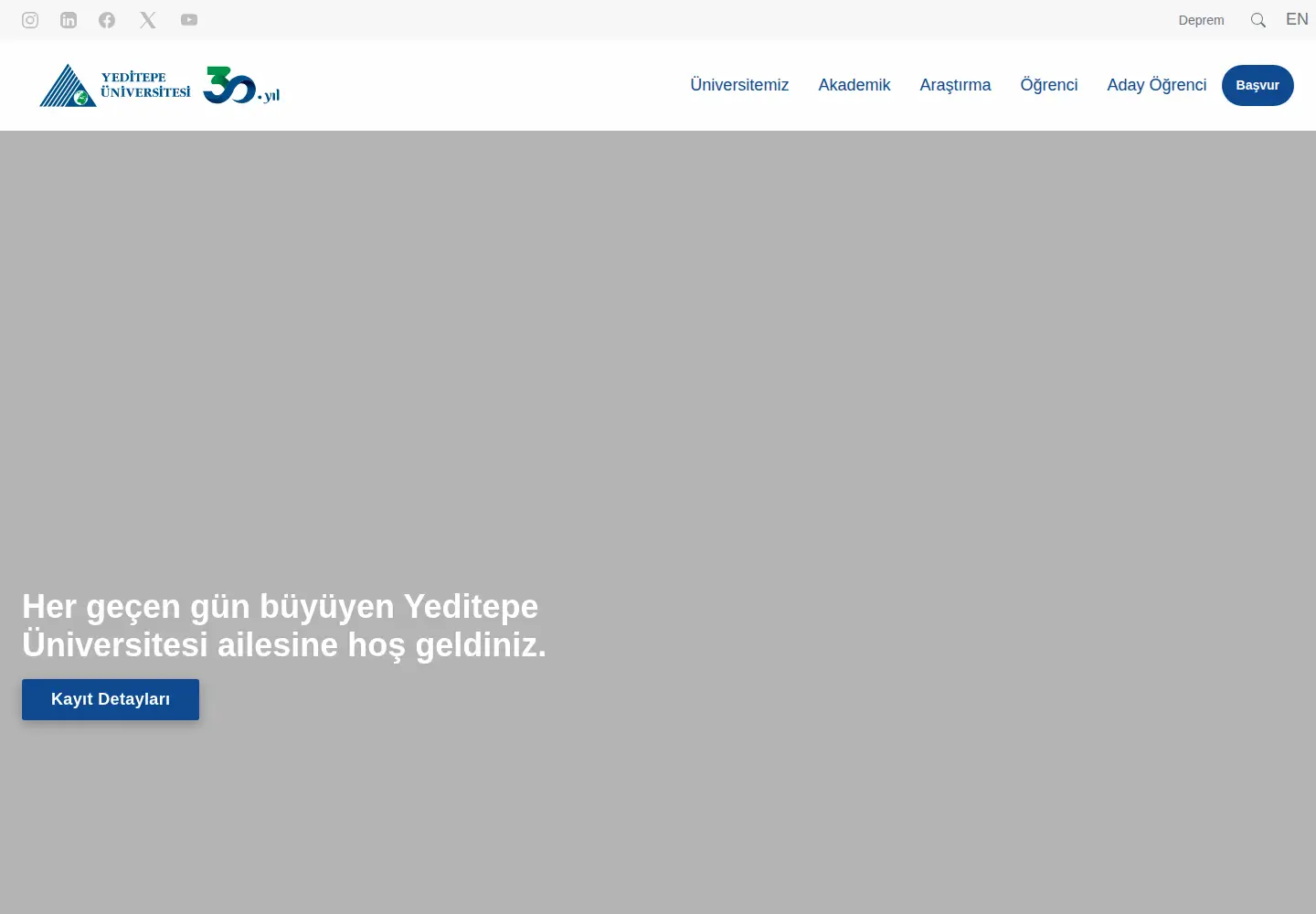 Screenshot of yeditepe.edu.tr