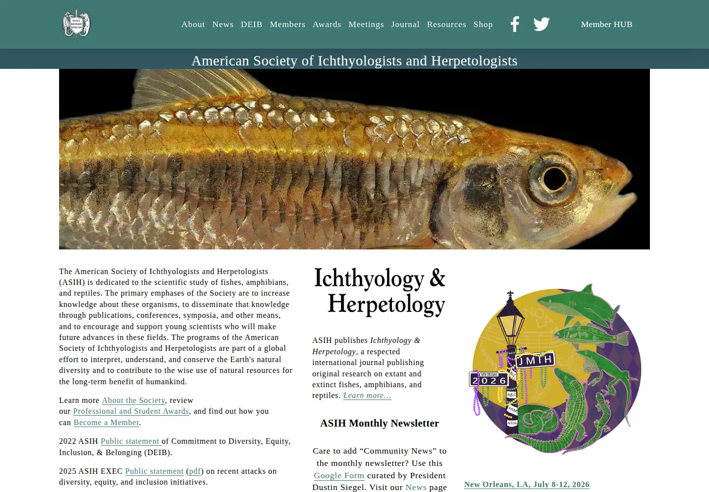 Screenshot of asih.org