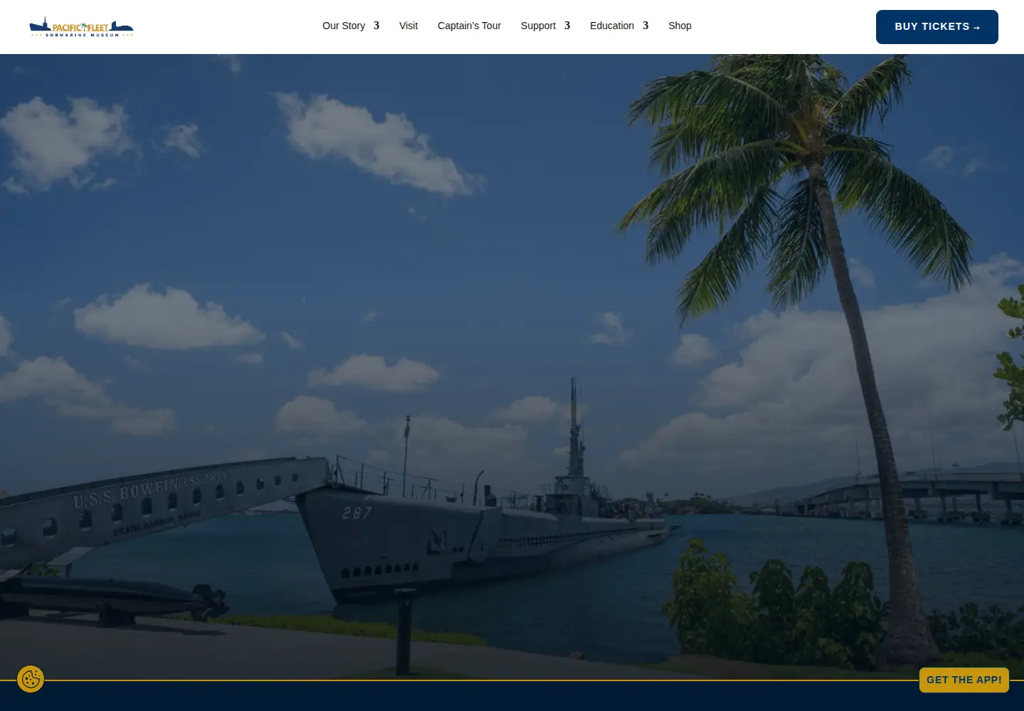 Screenshot of bowfin.org