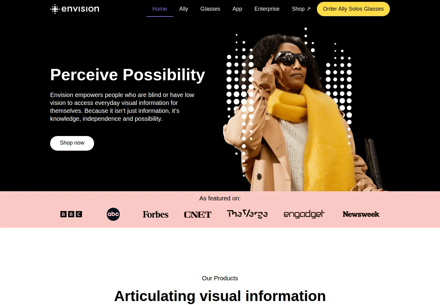 Screenshot of letsenvision.com