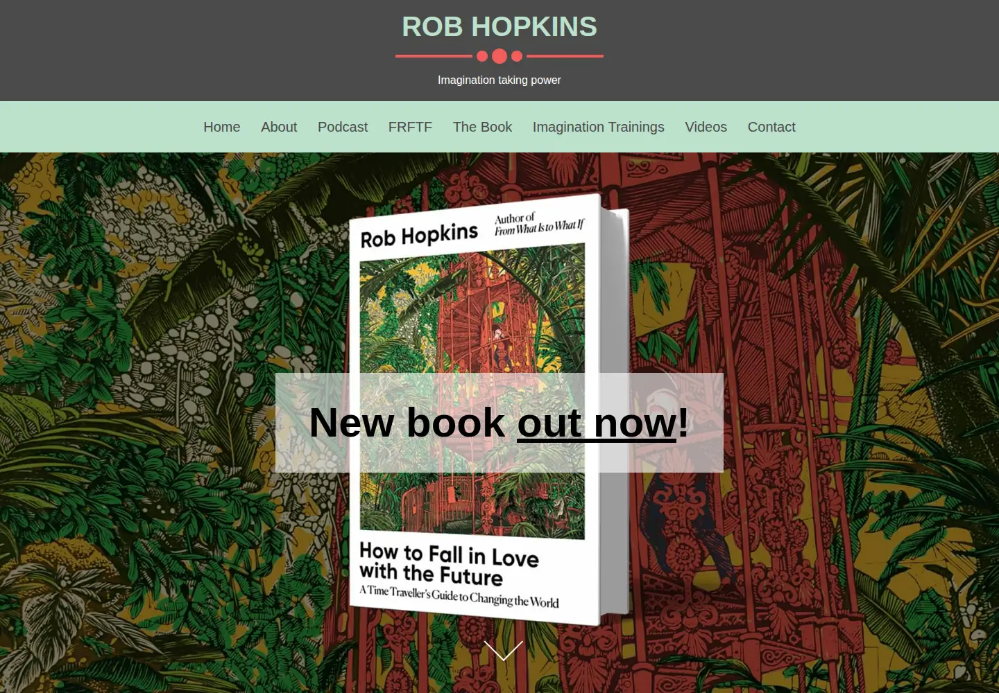 Screenshot of robhopkins.net