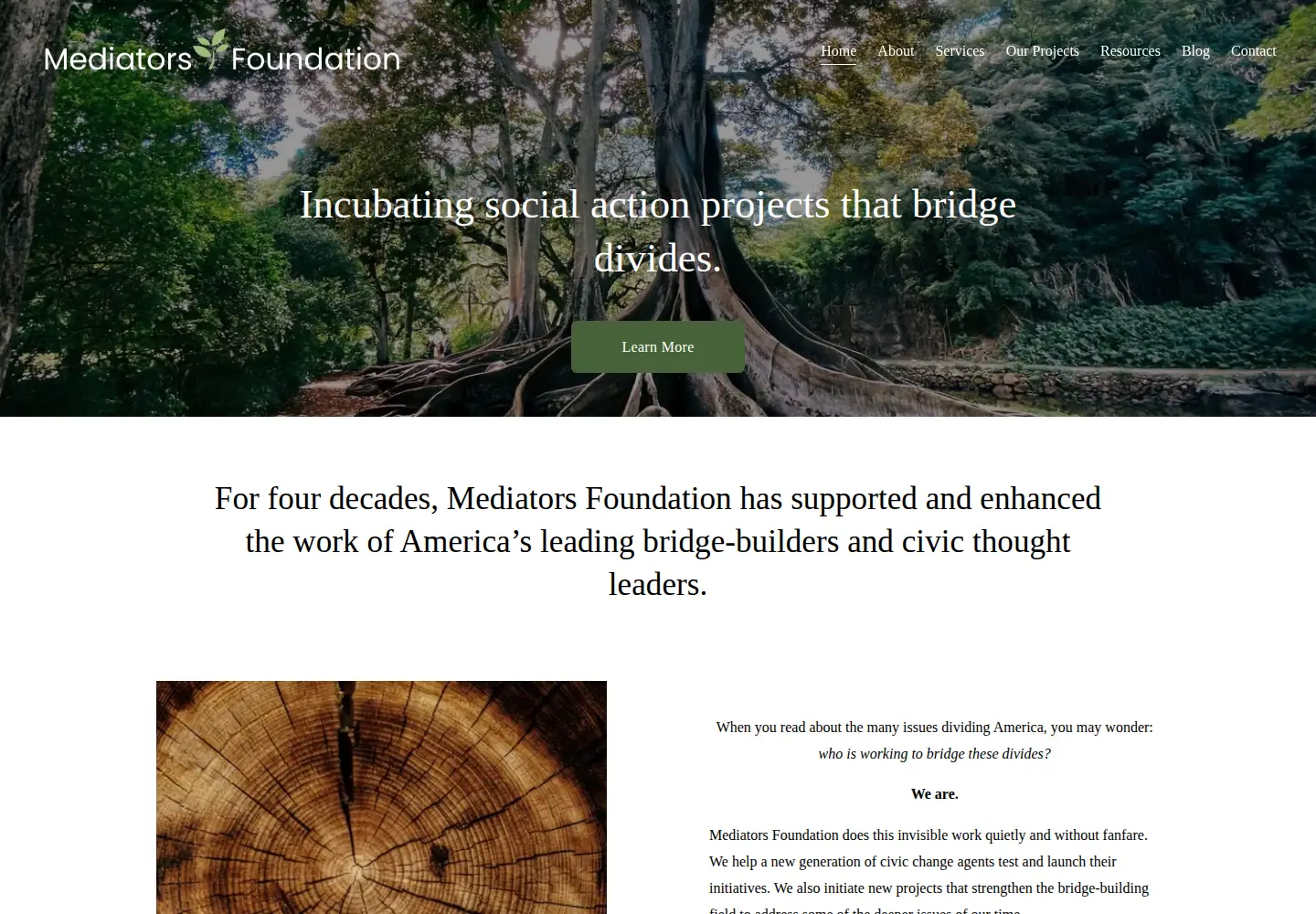 Captured homepage of mediatorsfoundation.org in the current scan